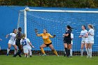 WSoccer vs Brandeis  Wheaton College Women's Soccer vs Brandeis College. - Photo By: KEITH NORDSTROM : Wheaton, women's soccer